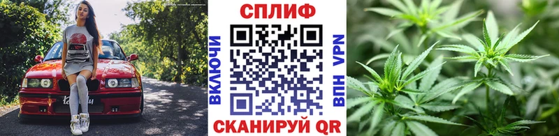 кракен ТОР Первомайск Бошки Шишки тримм купить наркоту